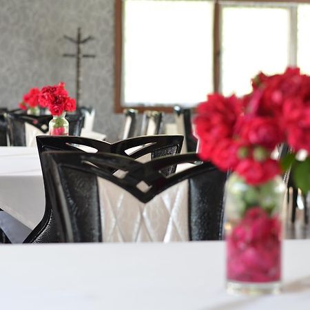 Johnny Hotel Kamenice Zewnętrze zdjęcie